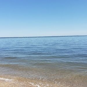 Meet your Posher, Jessie